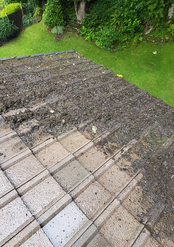 deans property services roof cleaning