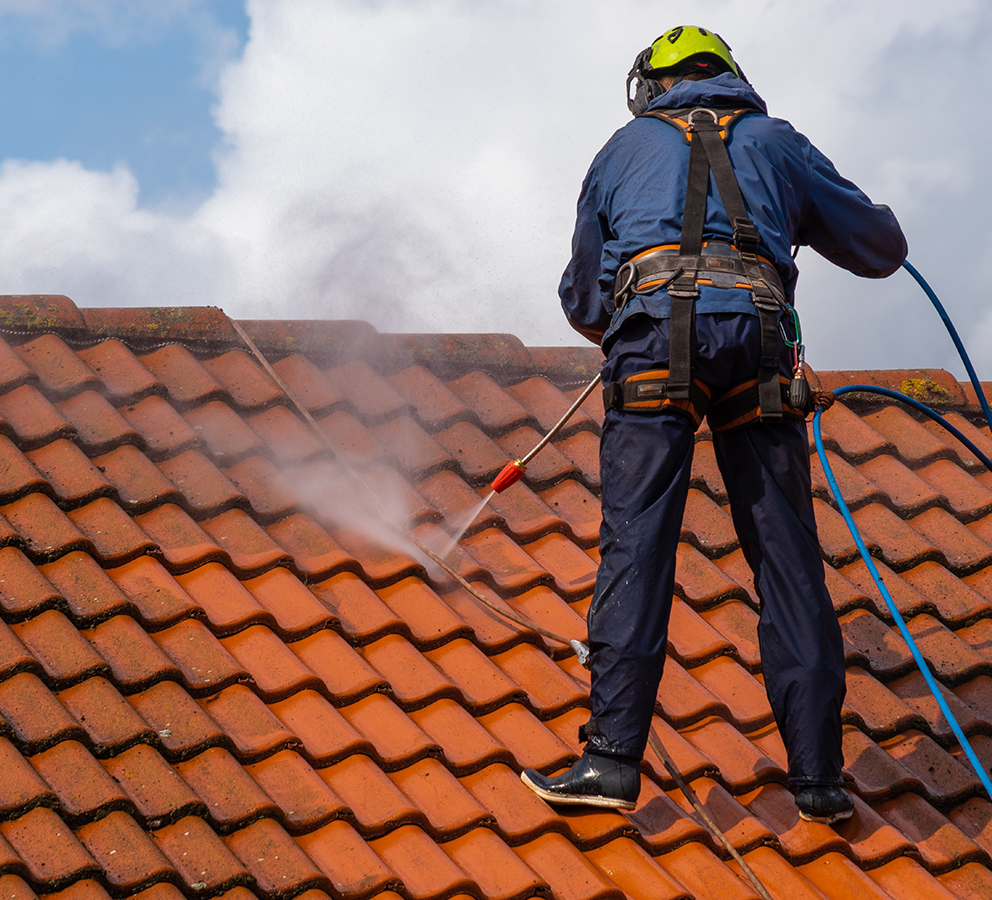 roof cleaning service